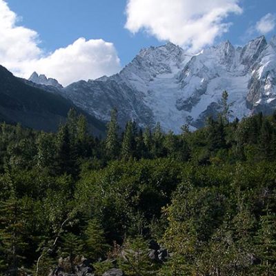 Laughton Glacier Alaska