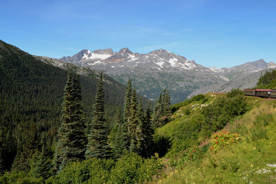Jodi Camino