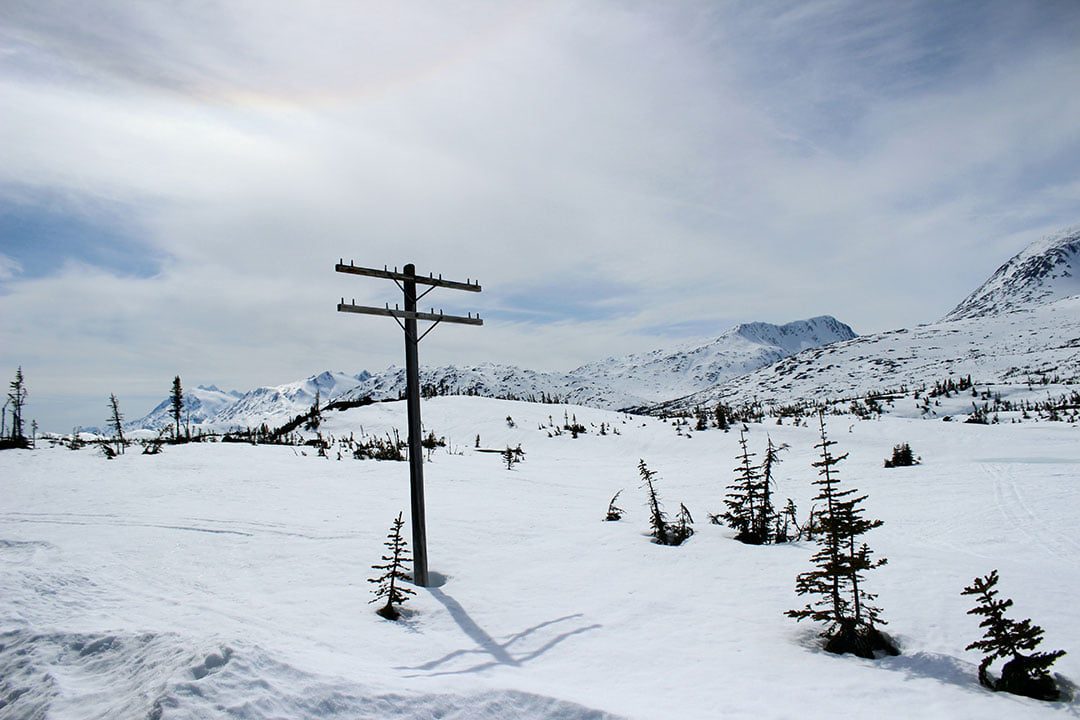 Debbie MacDonald