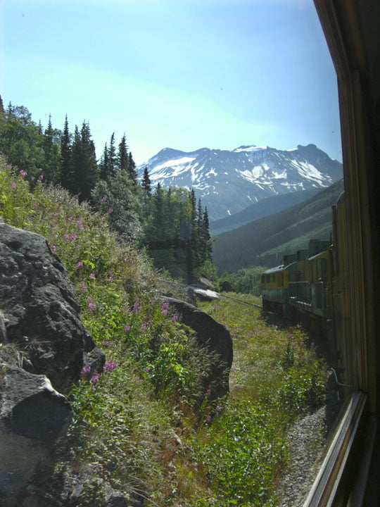 Indepth beauty along the White Pass Summitt - by Callie Curtis