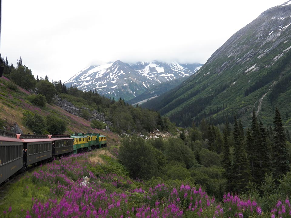 The beauty of Alaska - by Lisa Wayt