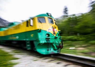 Train in Motion (using camera panning technique)