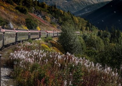 Trackside through the White