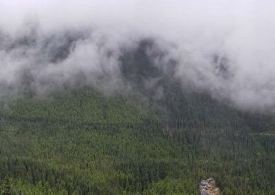 White Pass Landscape