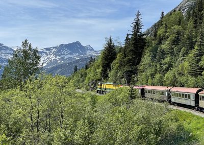 Photos by Peter Vogel