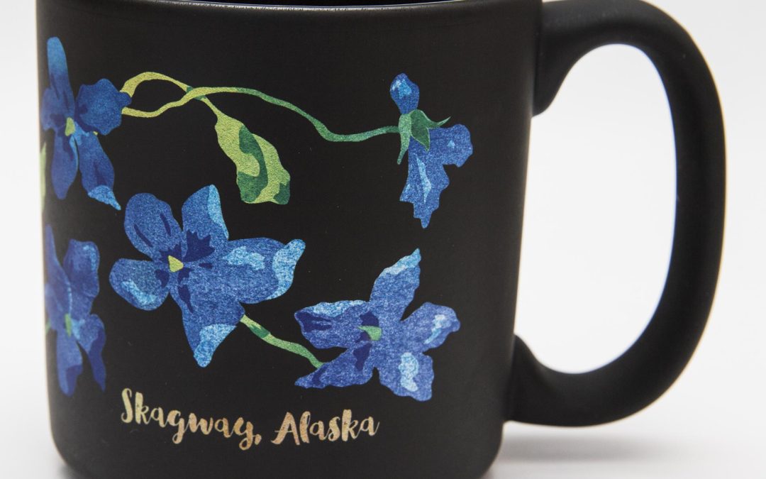 Mug-Black-Forget-me-Not-Skagway-Alaska-IMG_7385
